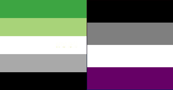 Asexual and aromantic flags