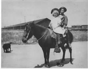 1909年，斯坦贝克和他的妹妹玛丽，坐在那匹红马驹上